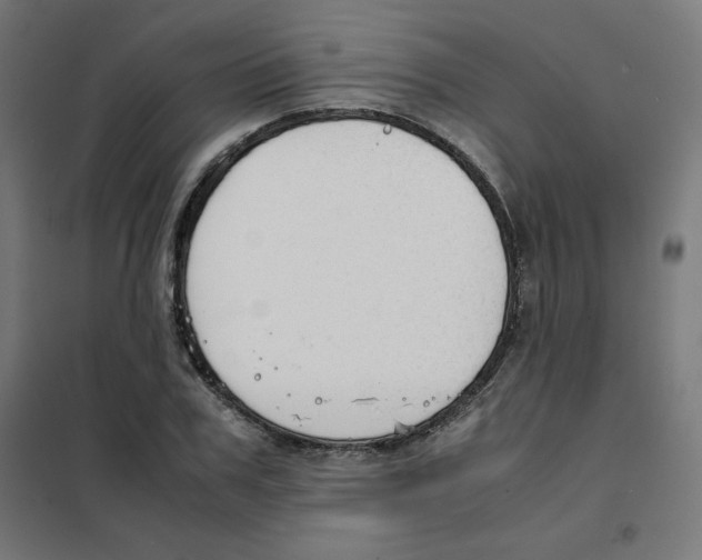 X0000101660979200808071017