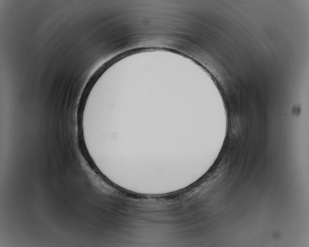X0000101660980200808071017