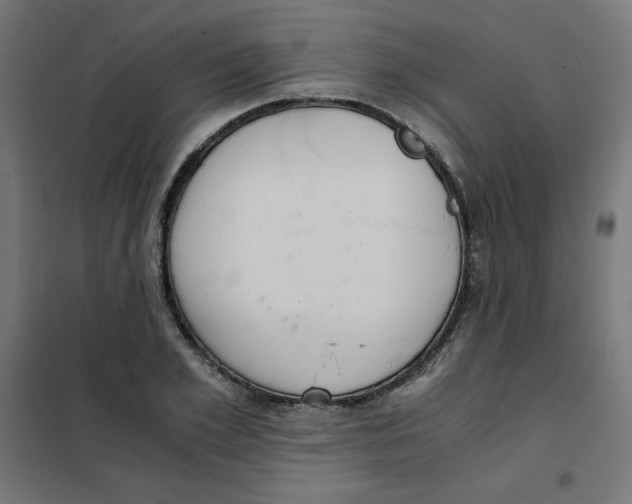 X0000101660981200808071017