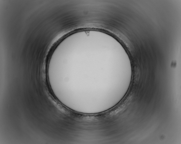 X0000101660982200808071017