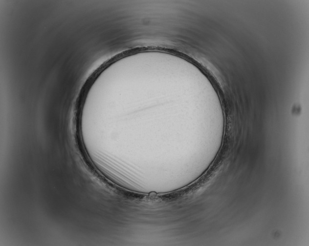 X0000101660983200808071017