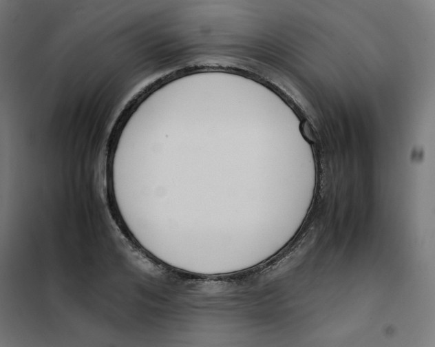X0000101660984200808071017