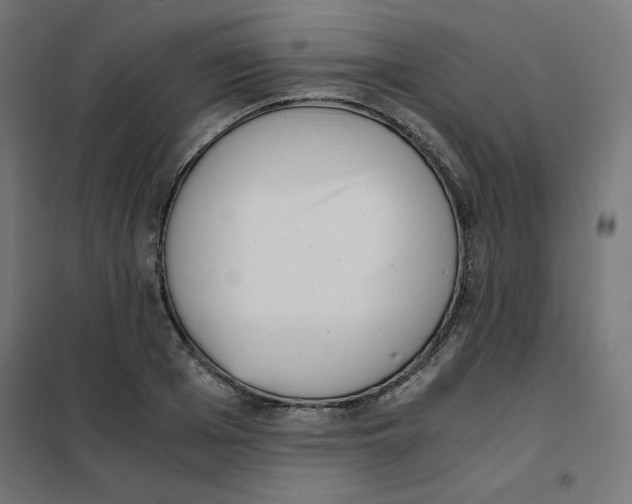 X0000101660985200808071017