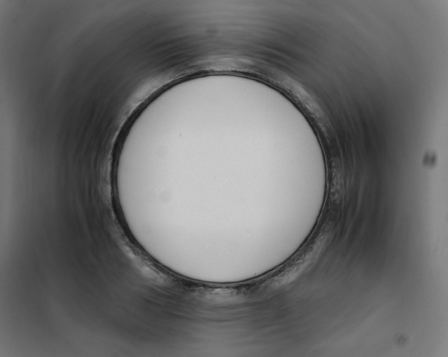 X0000101660986200808071017