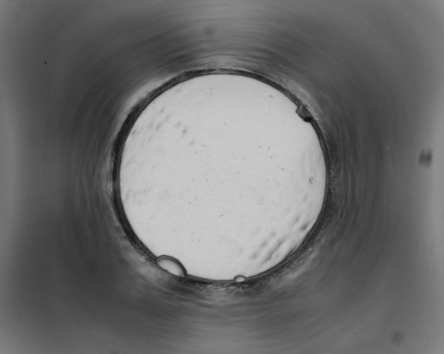 X0000101660987200808071017