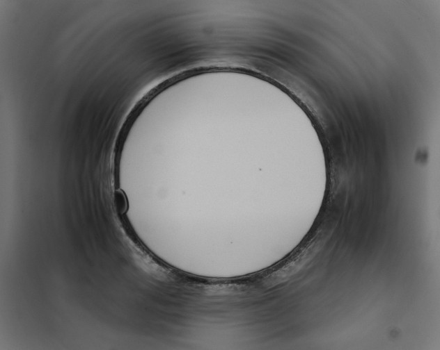 X0000101660988200808071017