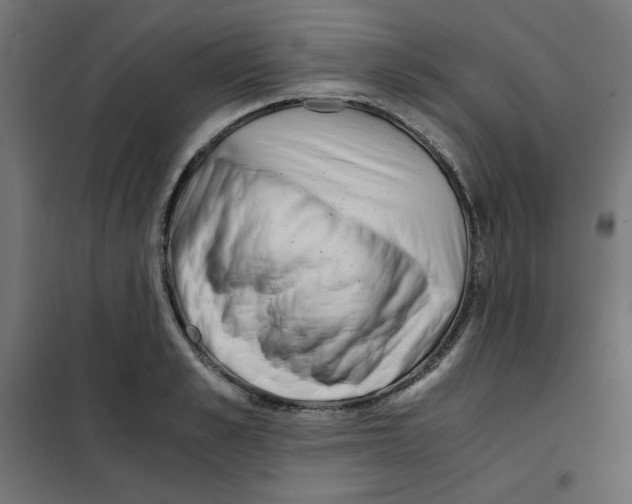 X0000101660989200808071017