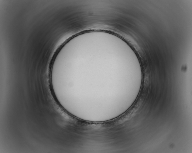 X0000101660990200808071017