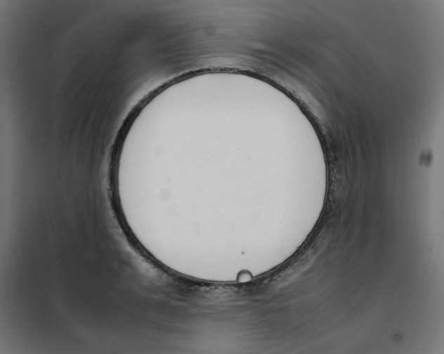 X0000101660991200808071017