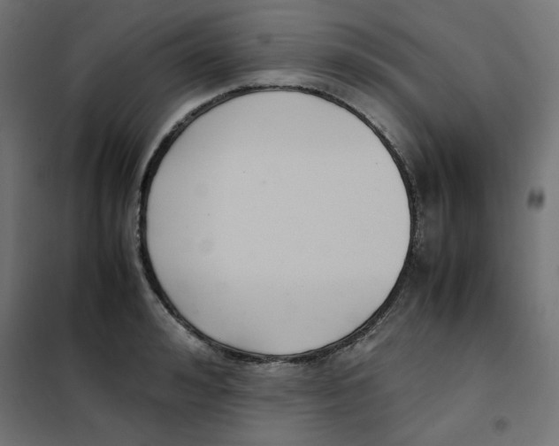 X0000101660992200808071017