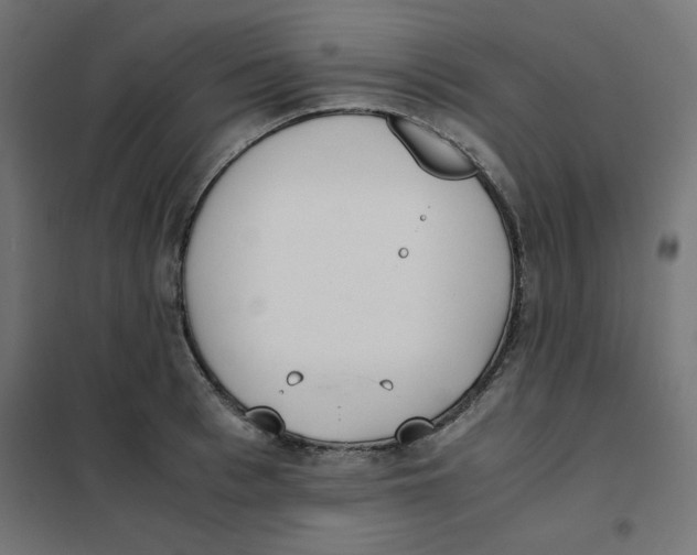 X0000101660993200808071017