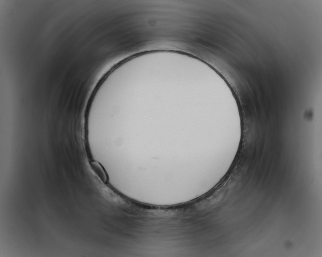 X0000101660996200808071017