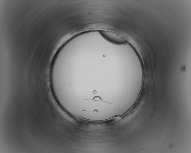 X0000101660997200808071017