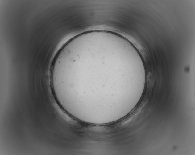 X0000101660998200808071017