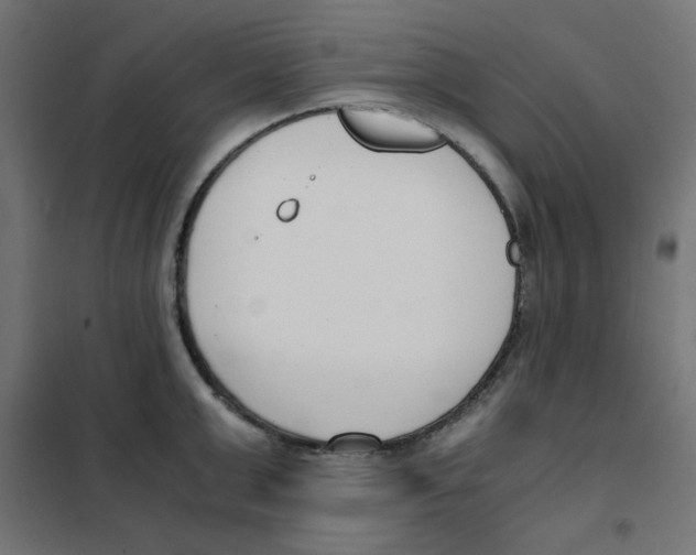 X0000101660999200808071017