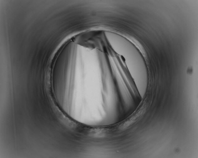 X0000101661000200808071017