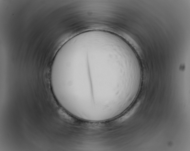 X0000101661001200808071017
