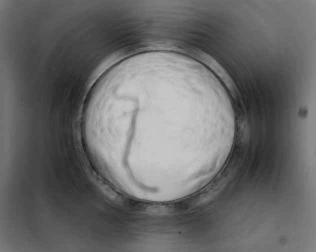 X0000101661002200808071017