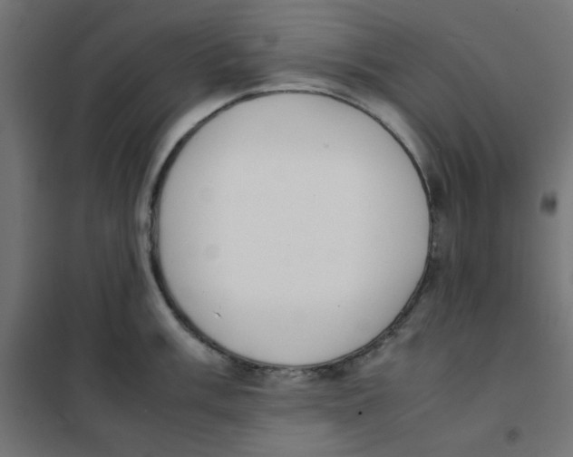 X0000101661003200808071016