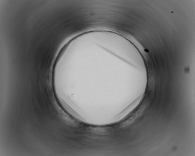 X0000101661004200808071016