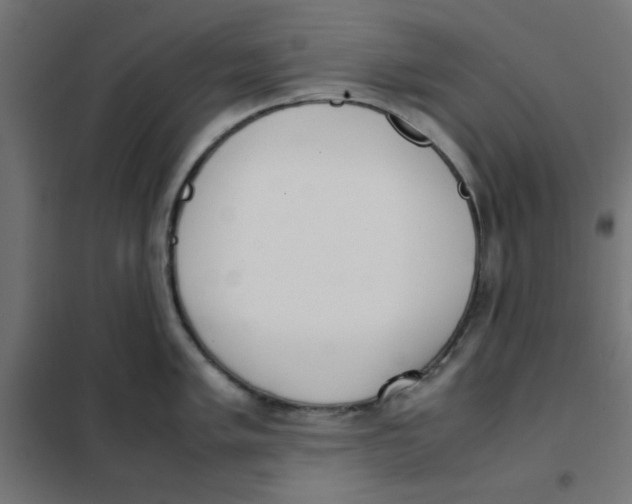 X0000101661005200808071016