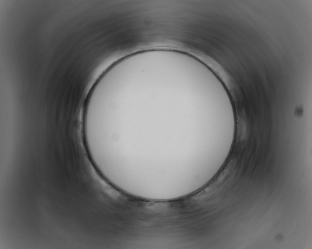 X0000101661006200808071016