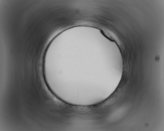 X0000101661007200808071016