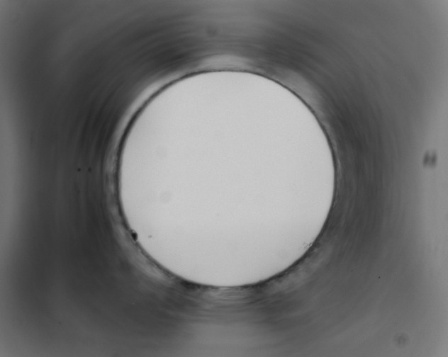 X0000101661008200808071016