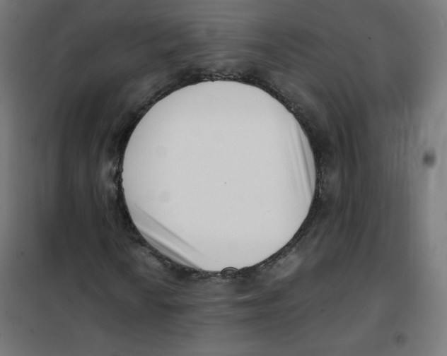 X0000101661010200808071016