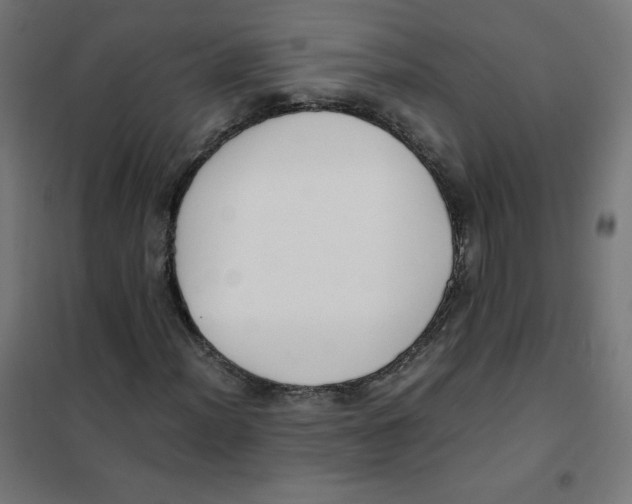 X0000101661012200808071016