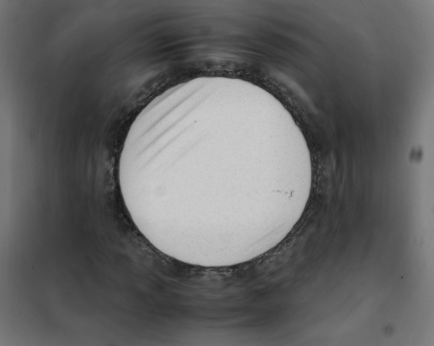 X0000101661013200808071016