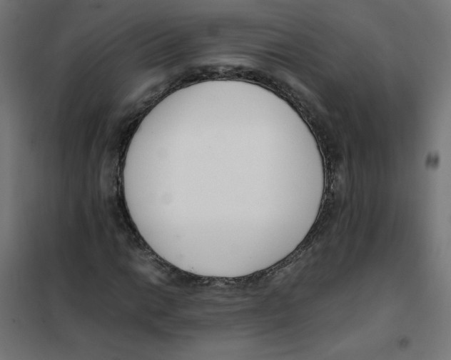 X0000101661014200808071016