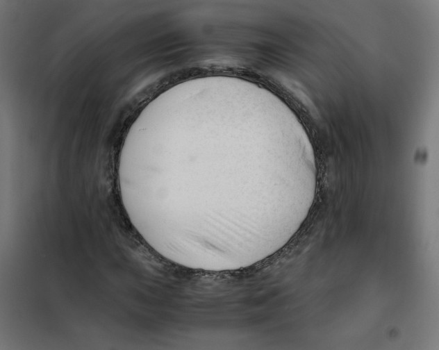 X0000101661015200808071016