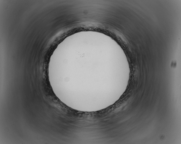 X0000101661016200808071016