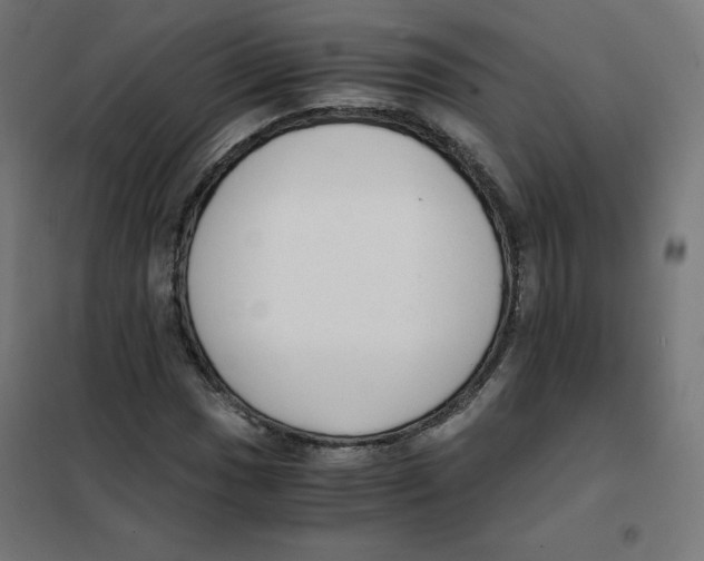 X0000101661017200808071016