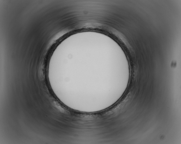 X0000101661018200808071016