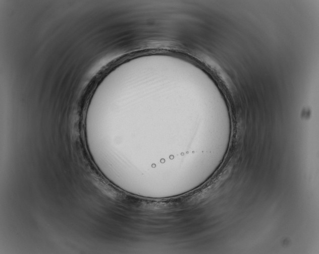 X0000101661019200808071016