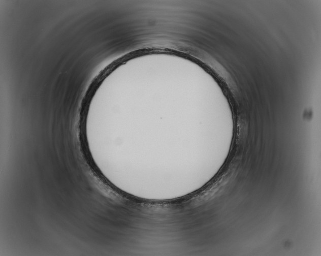 X0000101661020200808071016