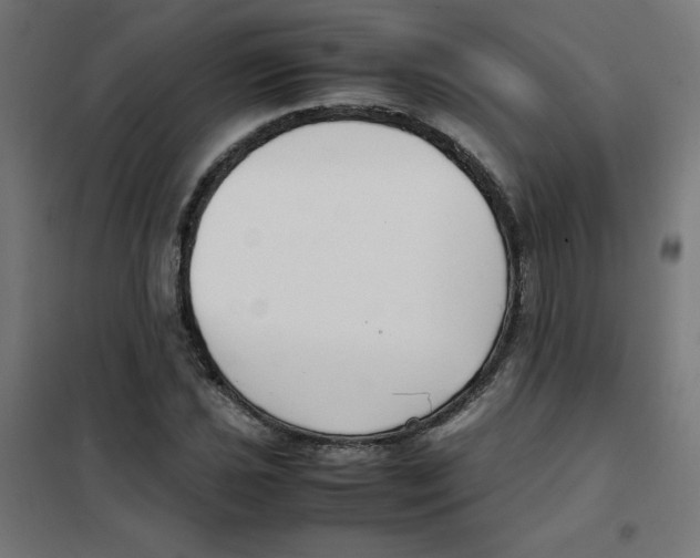 X0000101661021200808071016