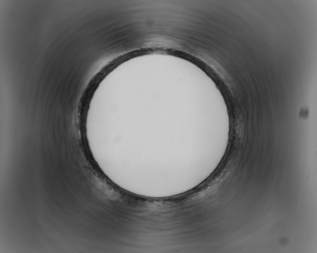 X0000101661022200808071016