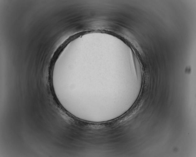 X0000101661023200808071016