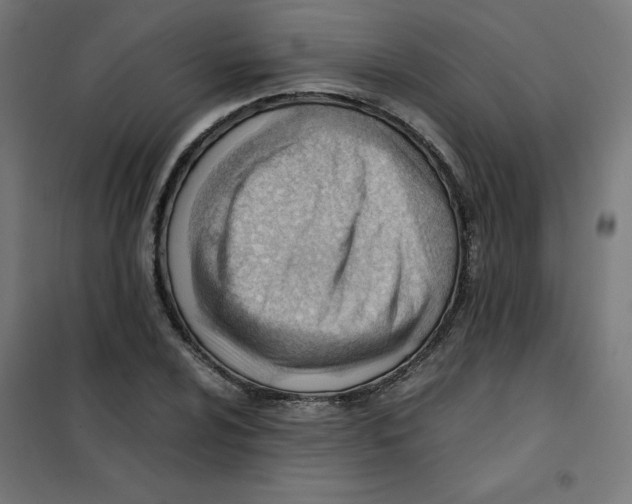 X0000101661024200808071016