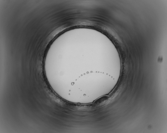 X0000101661025200808071016