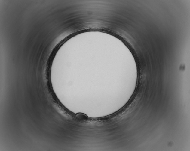 X0000101661026200808071016