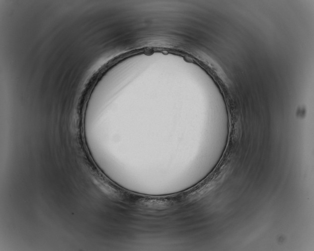 X0000101661027200808071016