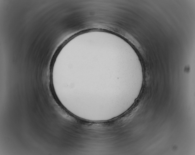 X0000101661028200808071016