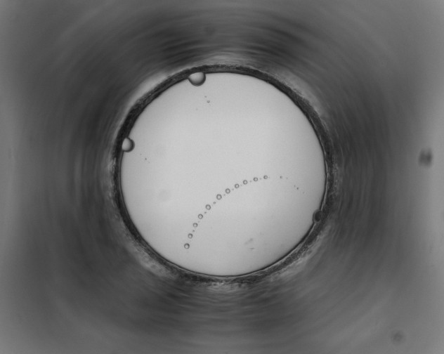 X0000101661029200808071016