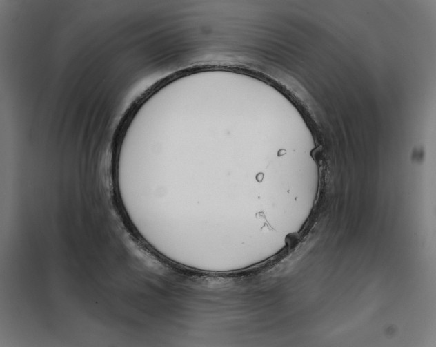X0000101661030200808071016
