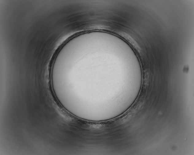 X0000101661031200808071016