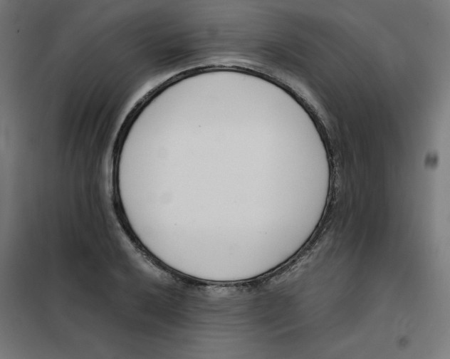 X0000101661032200808071016